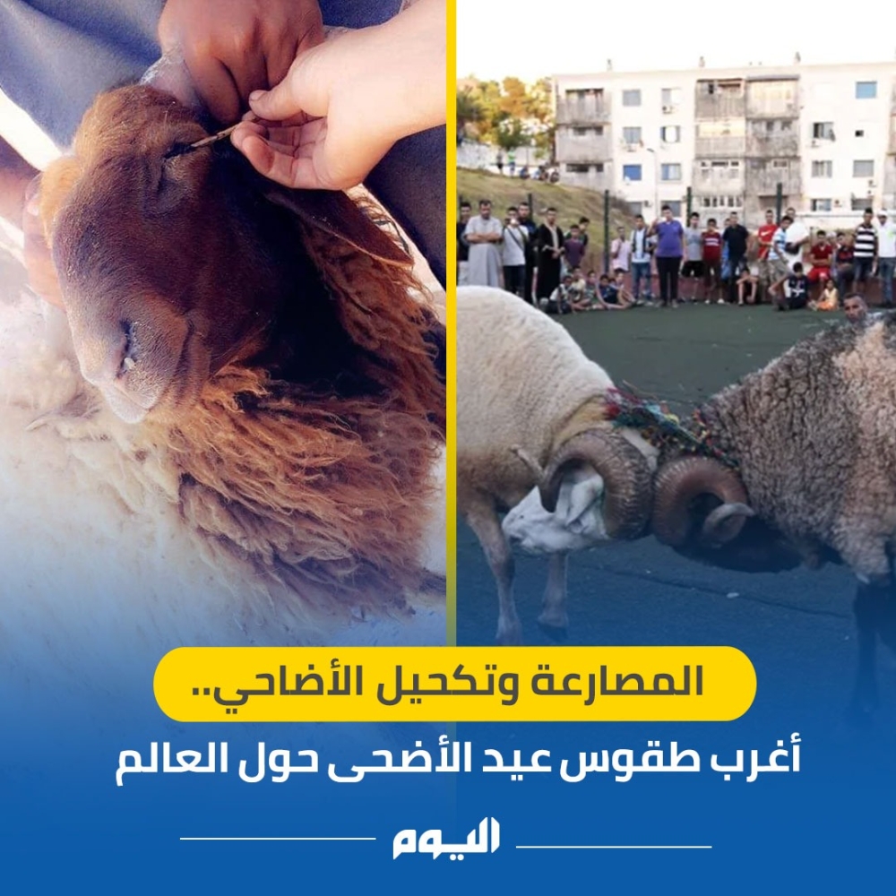 المصارعة وتكحيل الأضاحي.. أغرب طقوس عيد الأضحى حول العالم 