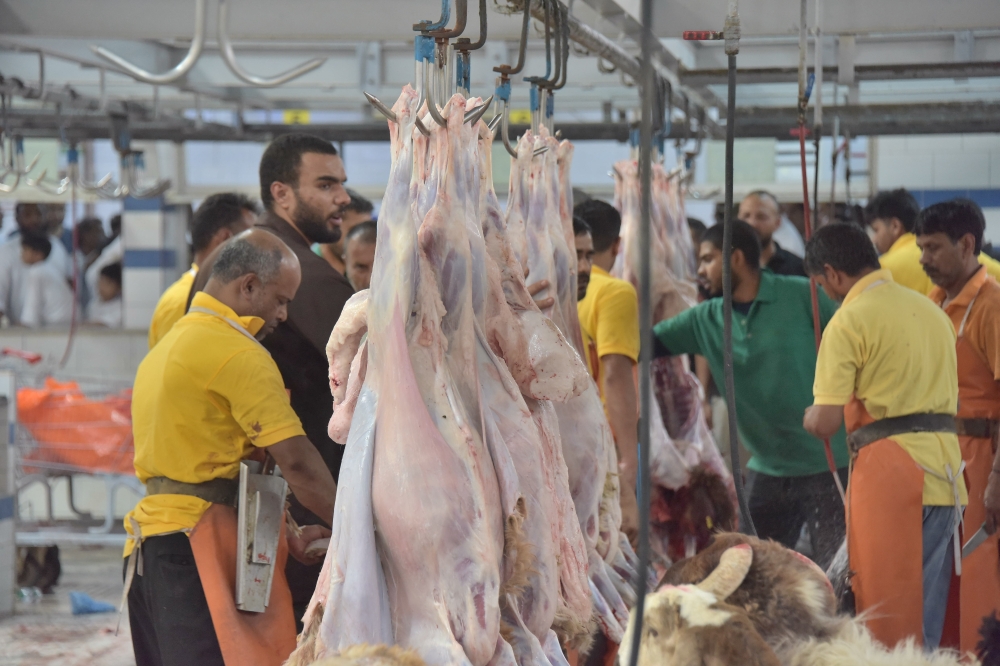 من العينين إلى الغدد اللمفاوية.. كيف تضمن الرقابة البيطرية سلامة أضحيتك؟