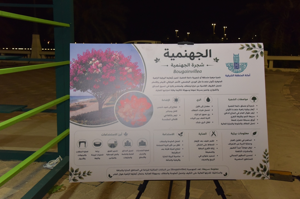 موسم الزهور الصيفي يعزز ثقافة أهالي الدمام زراعيًا - اليوم