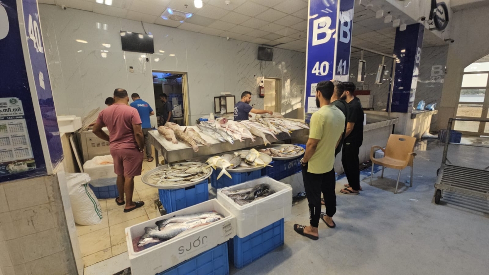 تقلبات الطقس ترفع أسعار الأسماك 25% في أسواق الشرقية