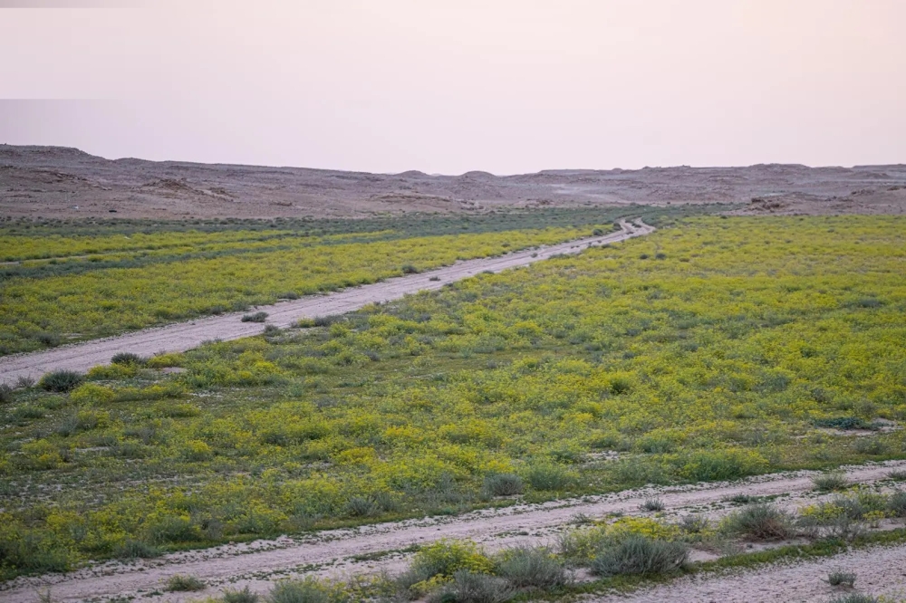 الحدود الشمالية..  تنوع بيئي يجمع المراعي والطيور النادرة وا