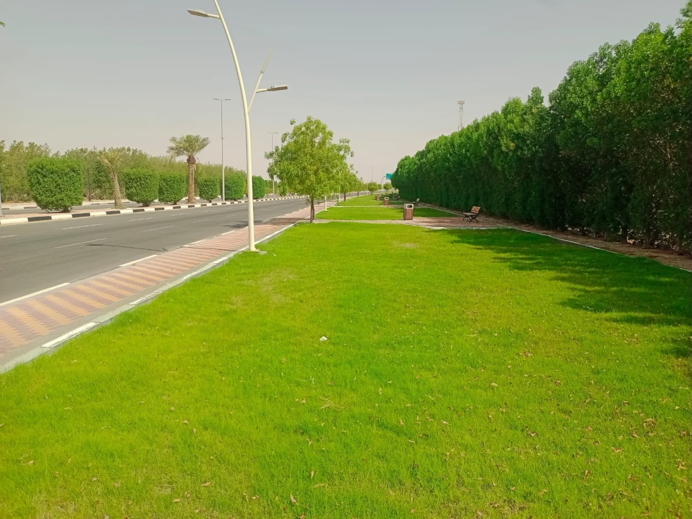 عين دار.. حملات رقابية لمتابعة سلامة المنتجات الغذائية في الأسواق - اليوم
