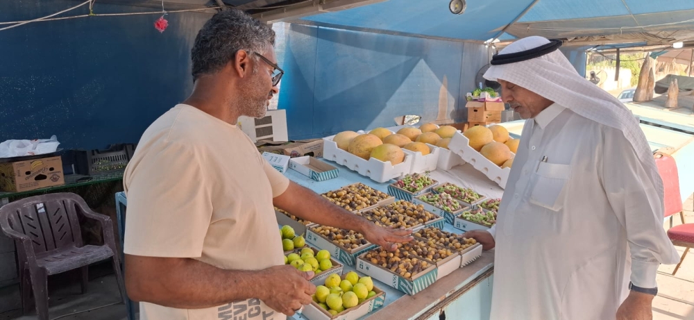 تباشر الرطب في الأحساء.. والغر يسجل 600 ريال للكيلو