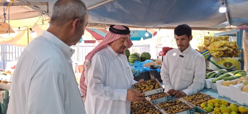 تباشر الرطب في الأحساء.. والغر يسجل 600 ريال للكيلو