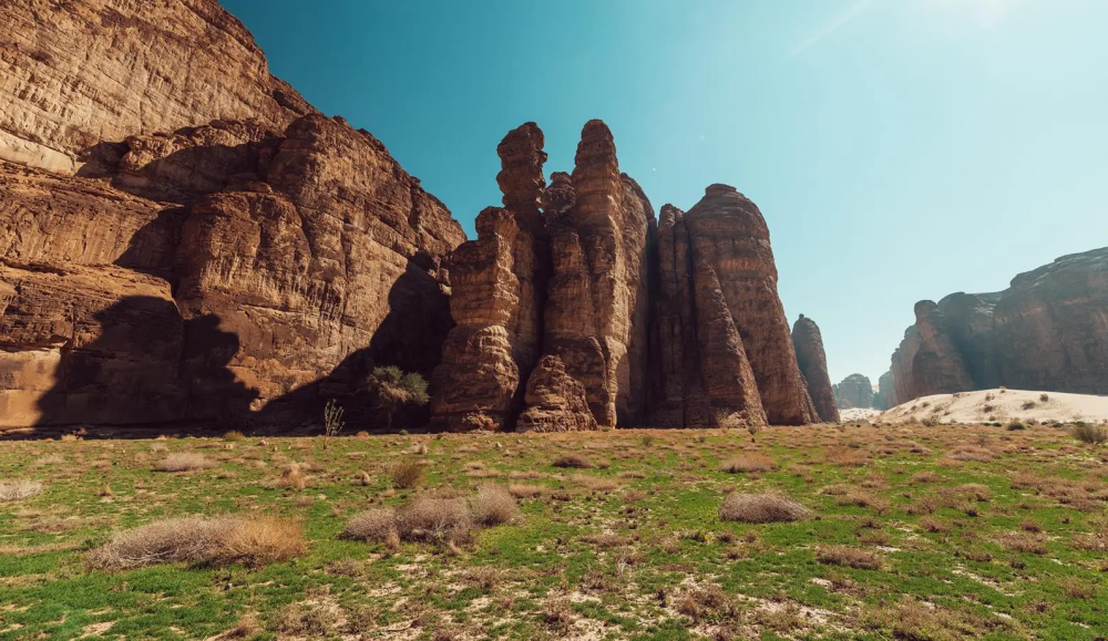 في يوم مكافحة التصحر.. العُلا ترسم نموذجًا عالميًا لتنمية الغطاء النباتي