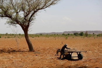 الجامعة العربية تؤكد أهمية تعزيز التعاون لمواجهة التحديات الناتجة عن التصحر والجفاف - swissinfo