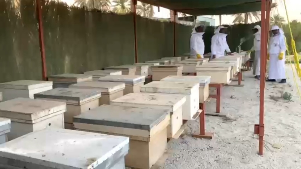 مظلات وخلايا النحل 