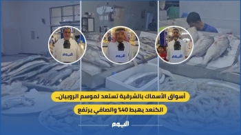 فيديو| أسواق الأسماك بالشرقية تستعد لموسم الروبيان.. الكنعد يهبط 40% والصافي يرتفع