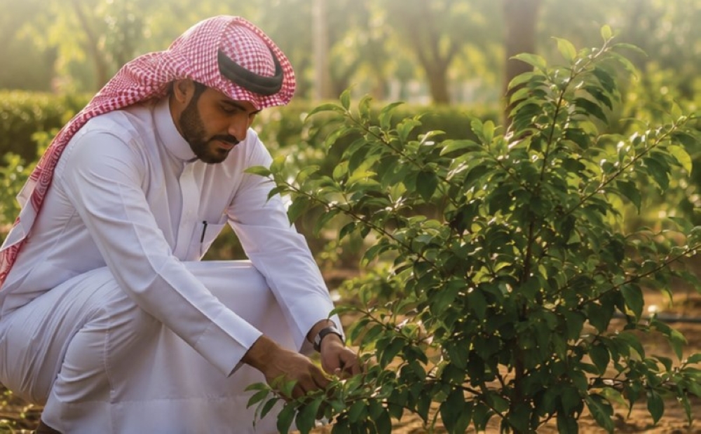 بينها قرية العليا.. 3 فرص تبرع لتشجير 225.7 ألف متر مربع في 3 محافظات 