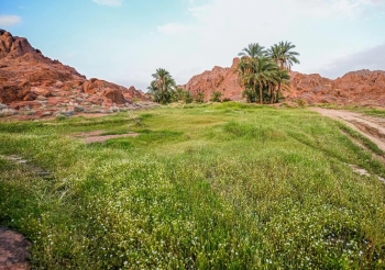 مقومات طبيعية وتراثية.. كيف أصبحت "حائل" من أبرز الوجهات السياحية؟
