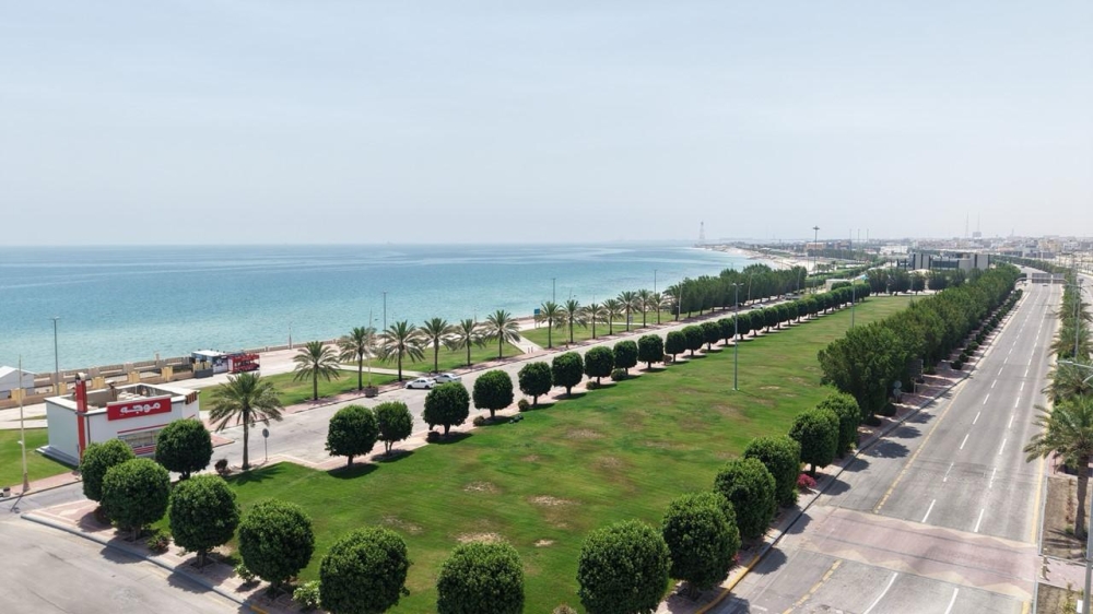 1,3 مليون عملية تشجير ترتقي بالمشهد الحضري في الشرقية
