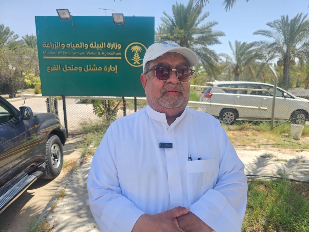 محمد منصور السبع