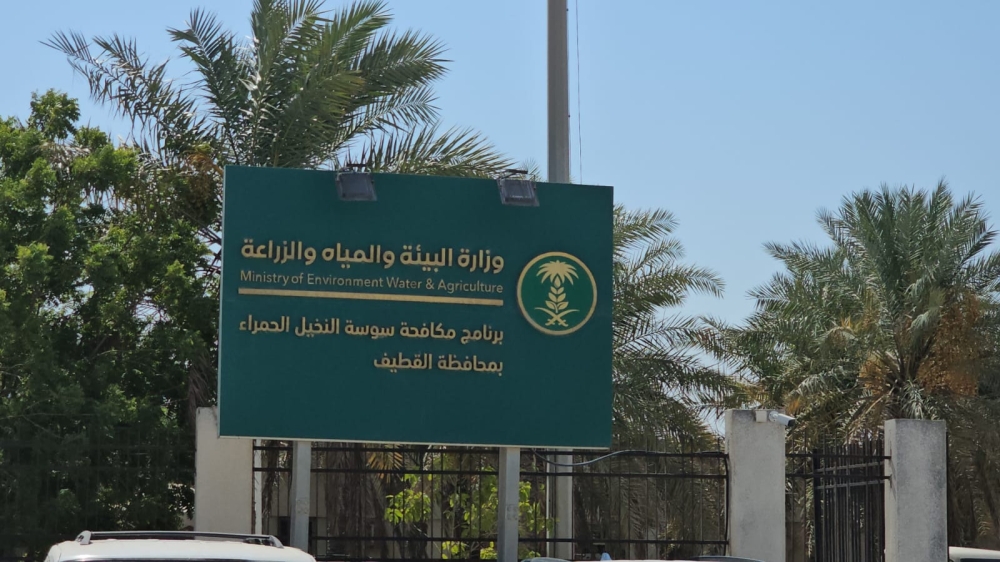قبل انتهاء المهلة.. مزارعو الشرقية يطالبون بتسهيلات لترخيص الآبار الجوفية