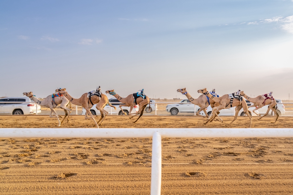 البلوي يتوج الفائزين في نهائي سباق المفاريد