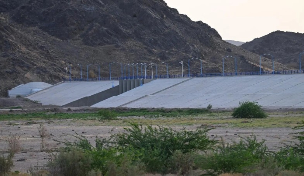 الغطاء النباتي في المدينة المنورة.. تنوع مبهر يدعم الاستدامة - واس