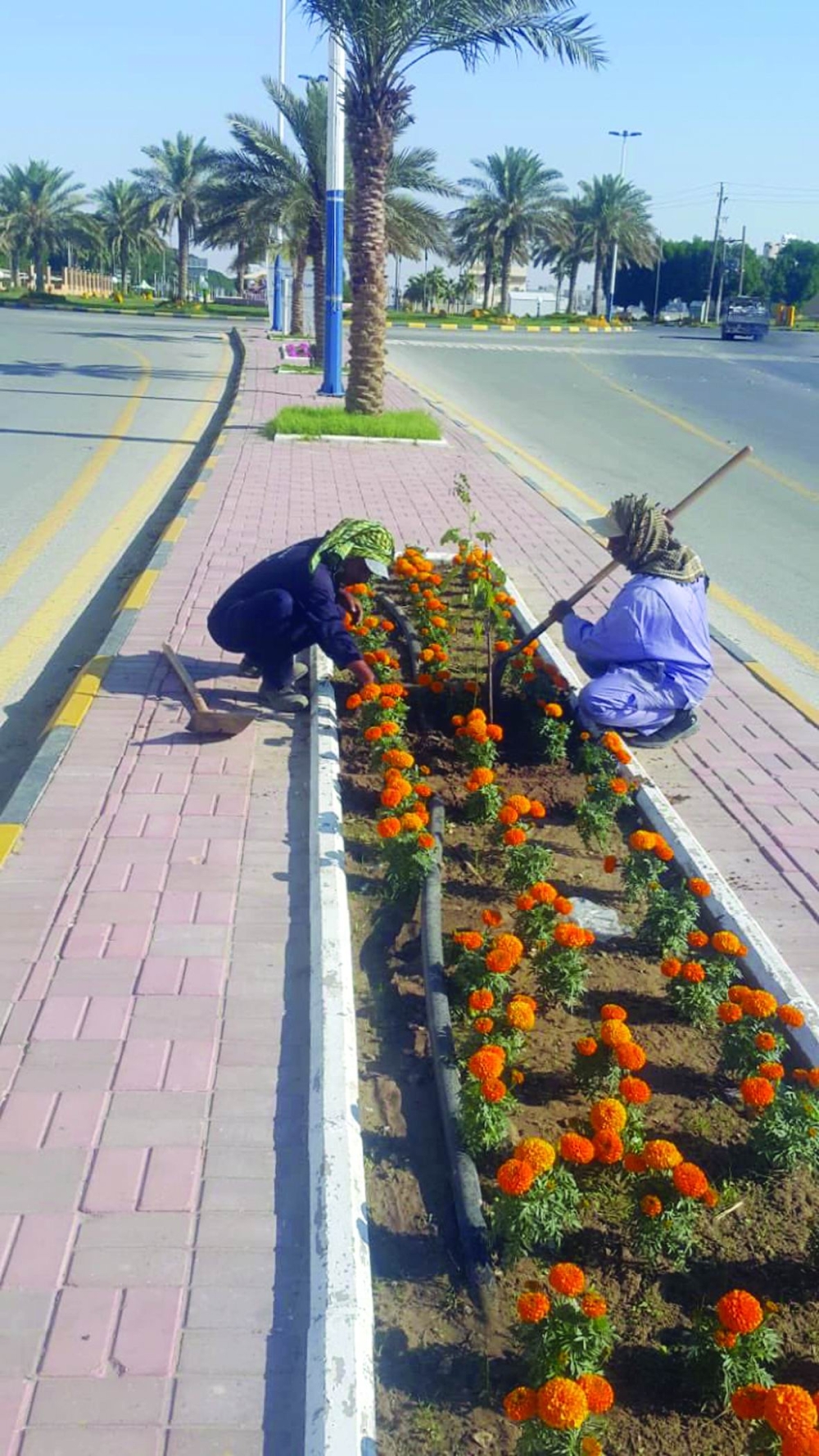  قرية العليا.. جولة سياحية بين التاريخ والحقول والمزارع الخصبة