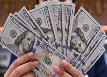 سعر الدولار مقابل الجنيه اليوم الثلاثاء.. استقرار في البنوك المصرية