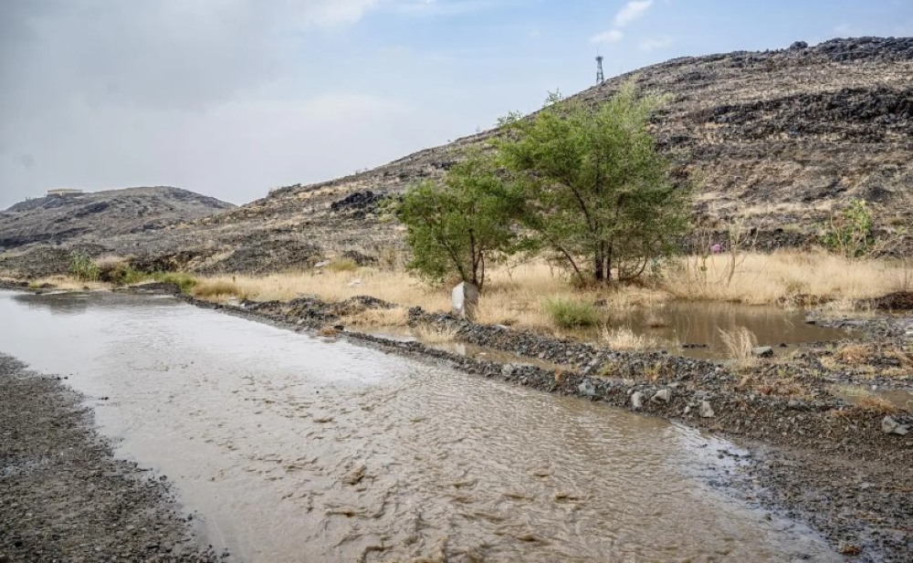 صور.. أمطار صيفية تنعش أجواء الباحة وتعزز الإقبال على المتنزهات