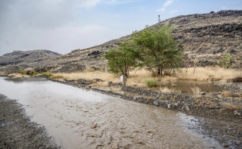 أمطار صيفية تنعش أجواء الباحة وتعزز الإقبال على المتنزهات - واس