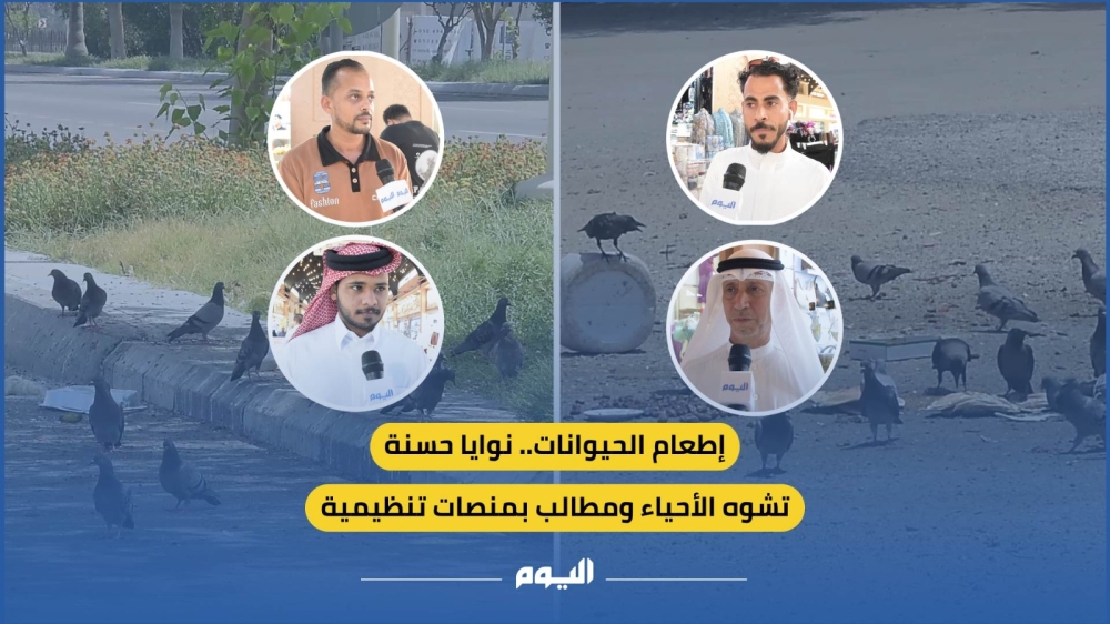 فيديو| إطعام الحيوانات.. نوايا حسنة تشوه الأحياء ومطالب بمنصات تنظيمية