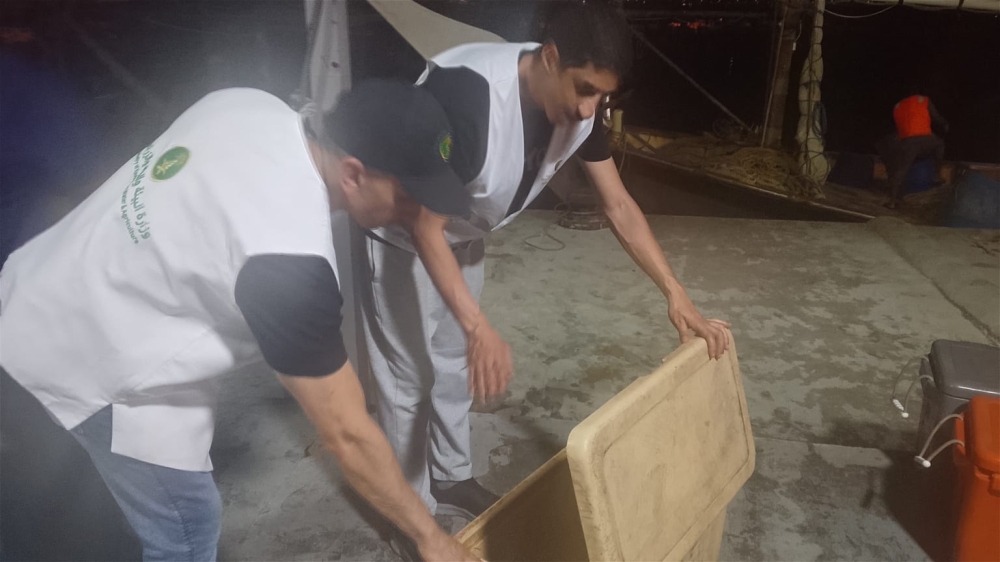 اليوم الأول