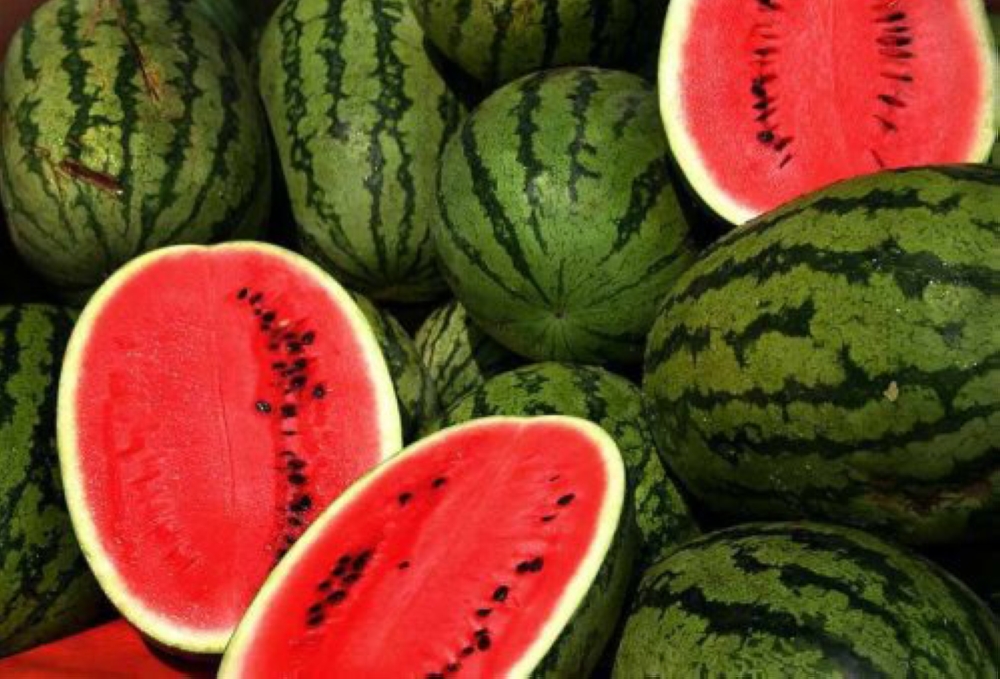 البطيخ.. فاكهة الصيف الرسمية والغنية بالفيتامينات والمعادن