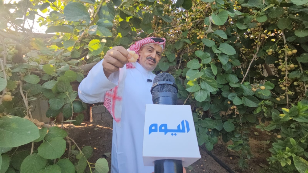 مخلل وشاي.. الصناعات التحويلية تكسر عزوف الشباب عن «البمبر» - اليوم