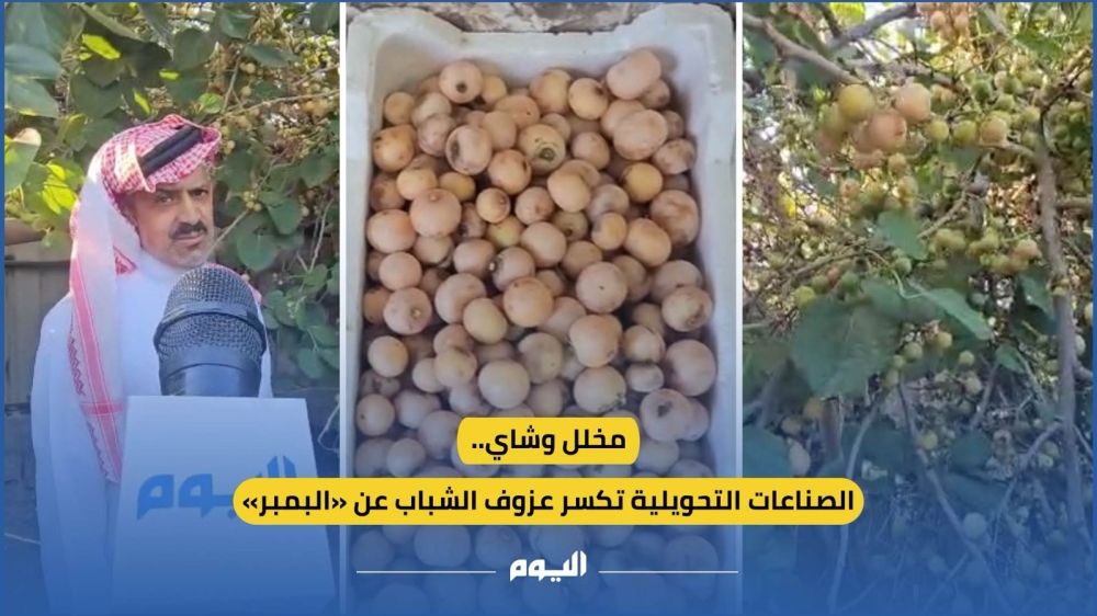 مخلل وشاي.. الصناعات التحويلية تكسر عزوف الشباب عن «البمبر» - اليوم 