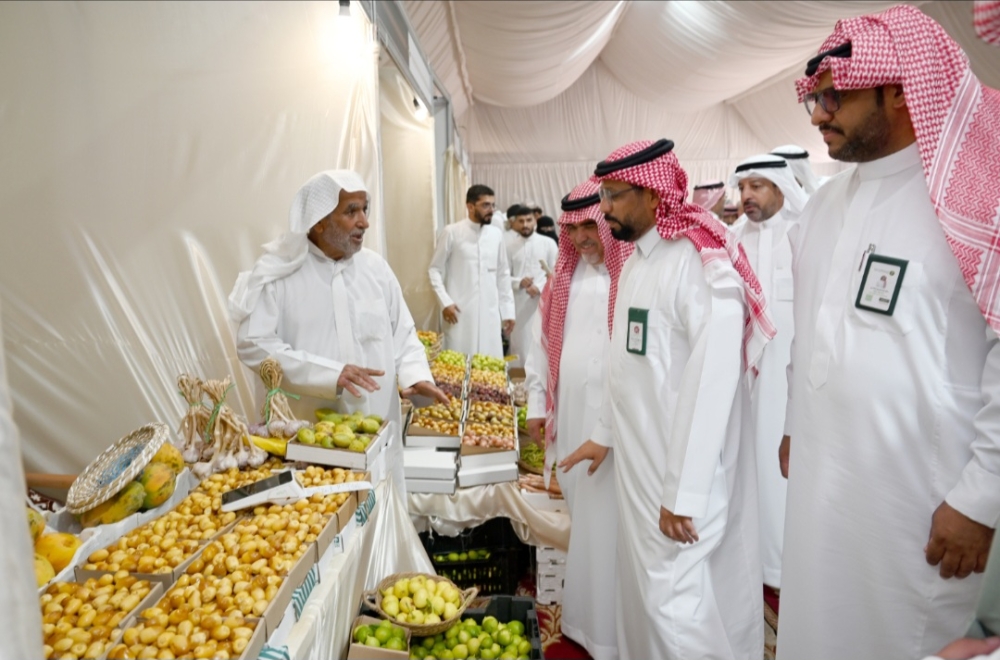 انطلاق أول مهرجان للرطب بالشرقية لدعم المزارعين وتسويق المنتجات