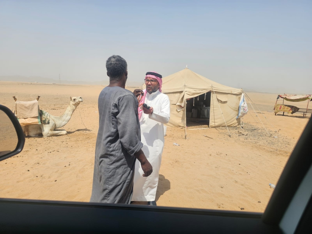 عمالة تحقن الإبل لزيادة الحليب.. وحملات لضبط الباعة الجائلين بجدة
