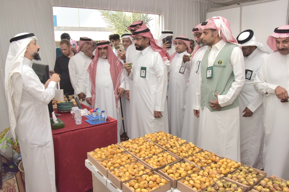 مهرجان الرطب بالشرقية.. 13 صنفًا محليًا و2500 طن من الليمون تجذب الزوار - اليوم