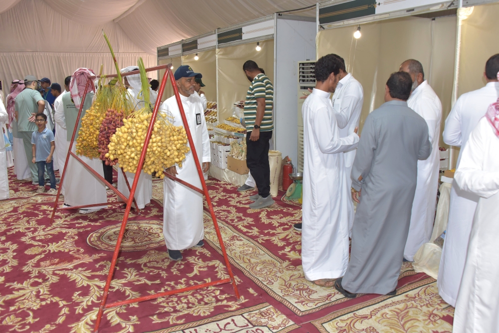 مهرجان الرطب بالشرقية.. 13 صنفًا محليًا و2500 طن من الليمون تجذب الزوار - اليوم