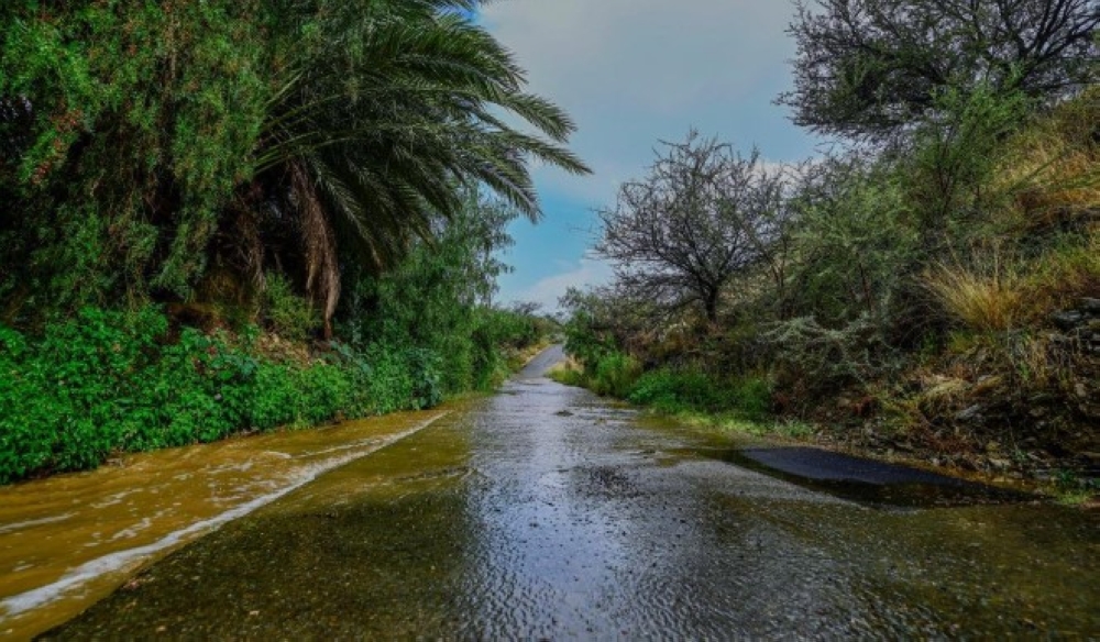 شملت أجزاء من عدة محافظات.. هطول أمطار على الباحة - واس أرشيفية