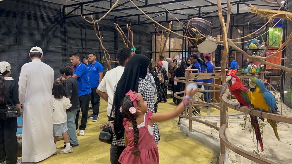 «اليوم» ترصد 500 حيوانًا و60 نوعًا في «غابة العجائب» بجدة - اليوم