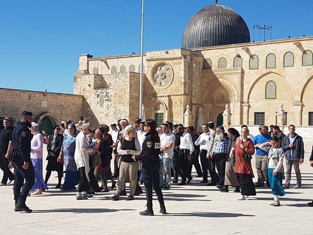 بجولات متتالية.. عشرات المستعمرين يستفزون زوار المسجد الأقصى - وكالات
