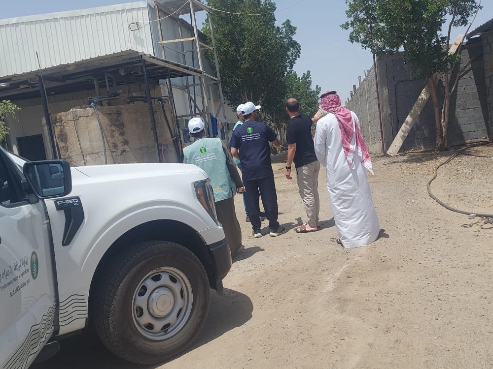 ‏رصد 57 مزرعة للدواجن غير مرخصة وبيئة مكة تتخذ الإجراءات النظامية
