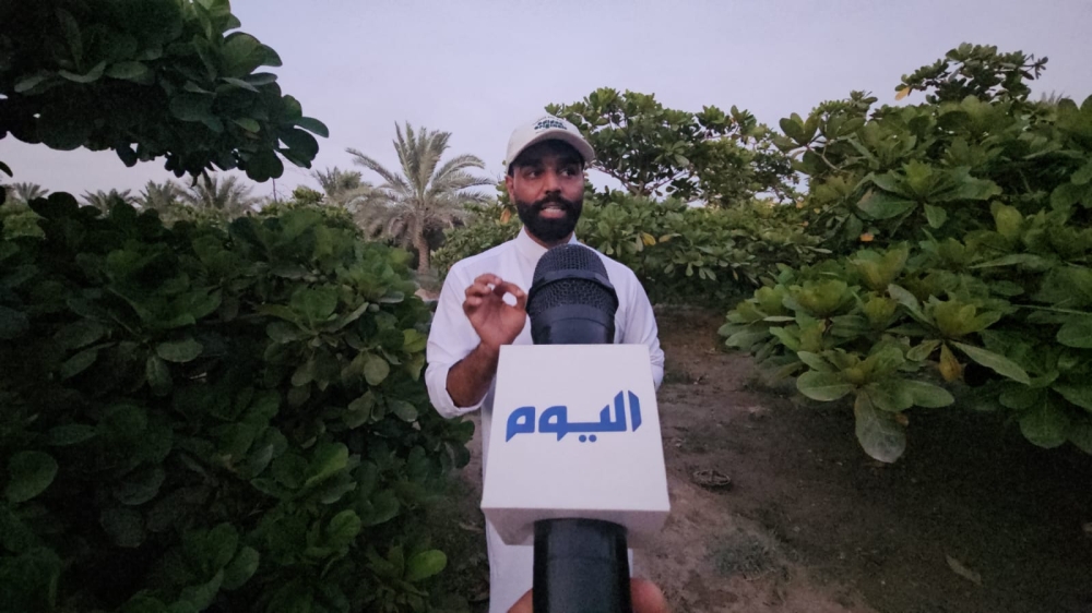 فيديو| اللوز القطيفي.. محصول موسمي يتحول إلى صناعة وطنية بمنتجات مبتكرة
