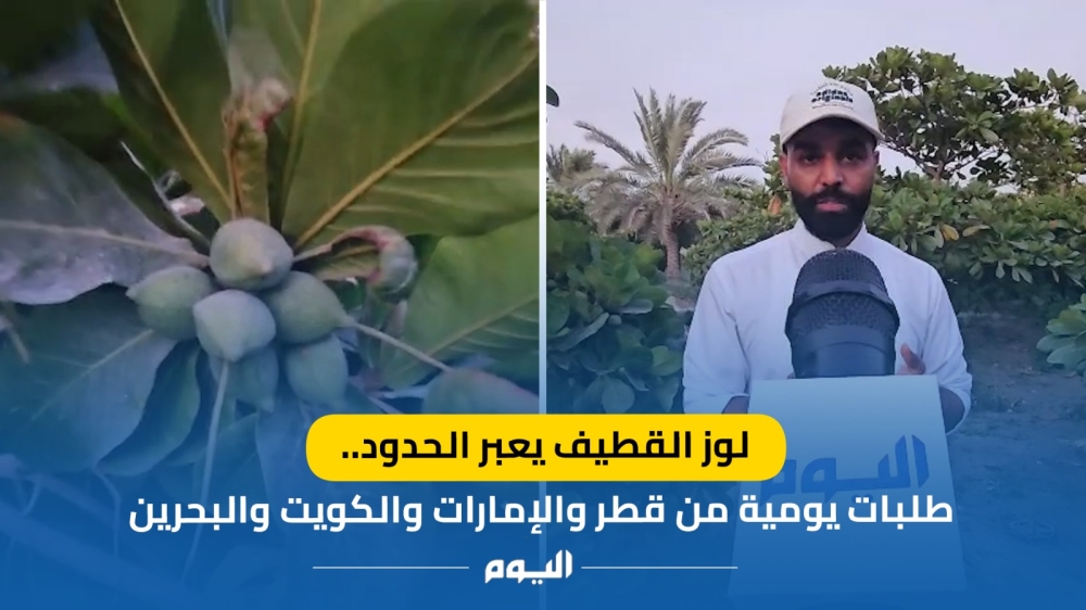 فيديو| اللوز القطيفي.. محصول موسمي يتحول إلى صناعة وطنية بمنتجات مبتكرة