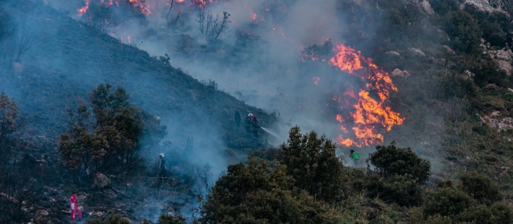 مصرع 12 شخصًا جرّاء حرائق الغابات في الجزائر - World Bank Blogs‏