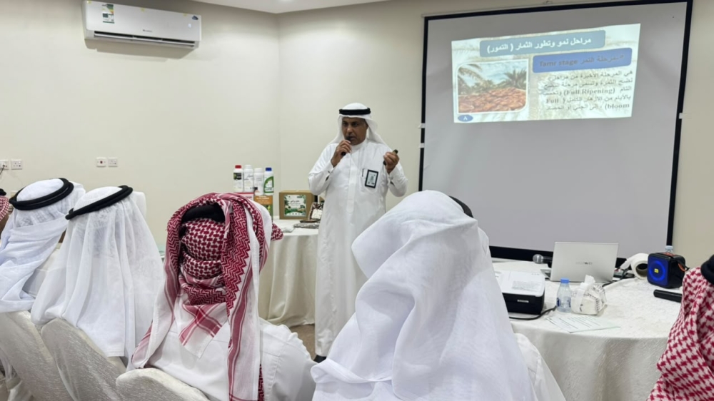 الأحساء.. تقنيات زراعية وتغليف عصري لرفع القيمة السوقية للتمور