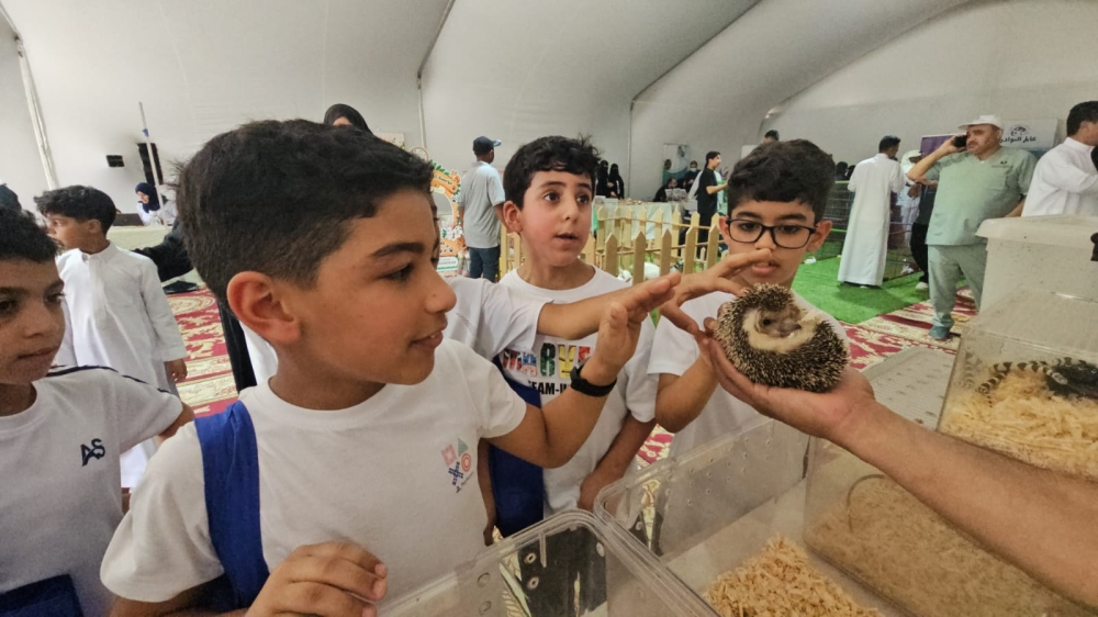 فيديو.. معطف بـ 300 ألف وقنفذ يكافح العقارب.. «مربي» يكشف أسرار 50 نوعاً من الحيوانات