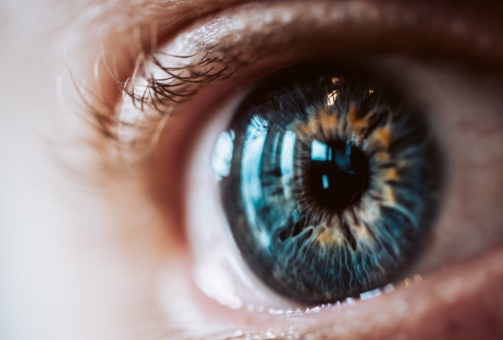 New Scientific Discovery Opens Path Toward Possible Eye Disease Treatments