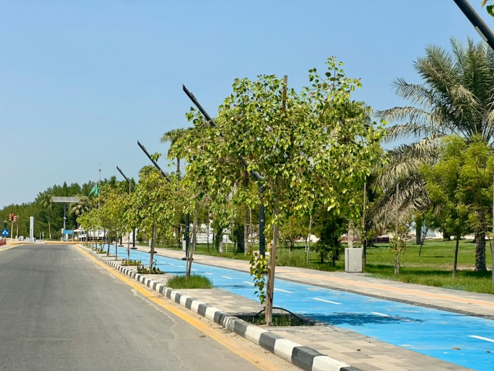المسطحات الخضراء في رأس تنورة