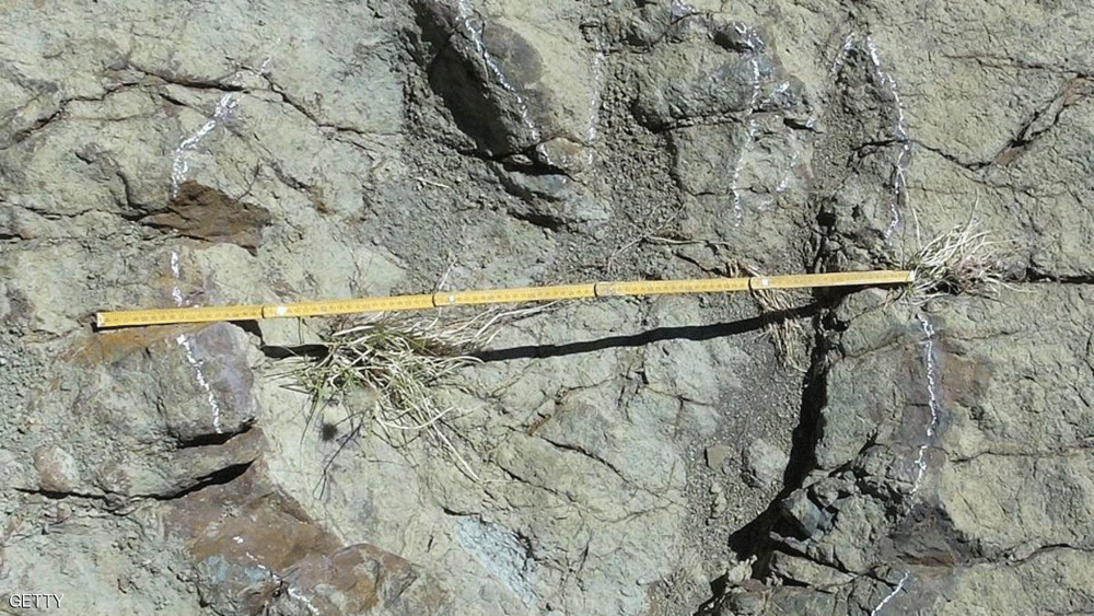 بصمة ديناصور سابقة قطرها 1.2 متر (سكاي نيوز)