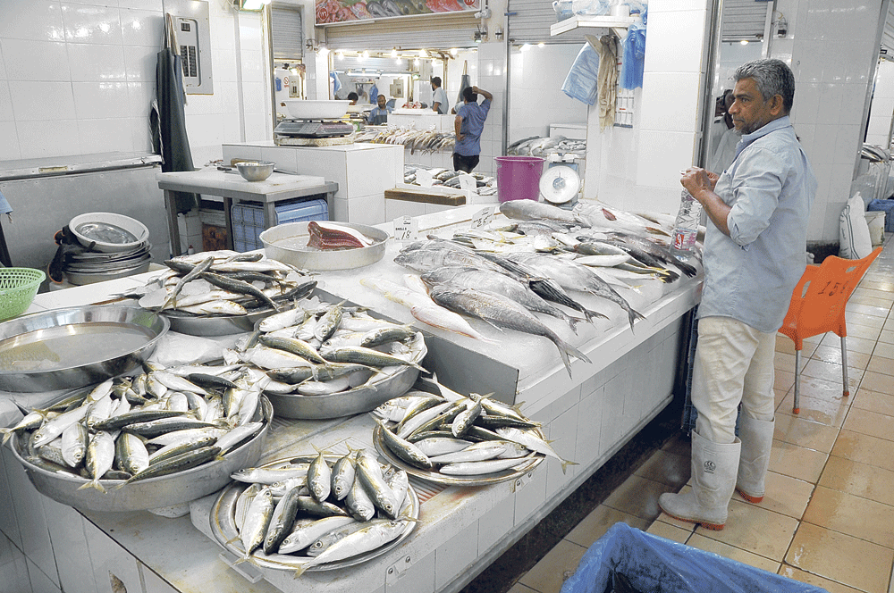 الأسماك المعروضة بأسواق الشرقية خالية من الملوثات ( تصوير : مرتضى بو خمسين)
