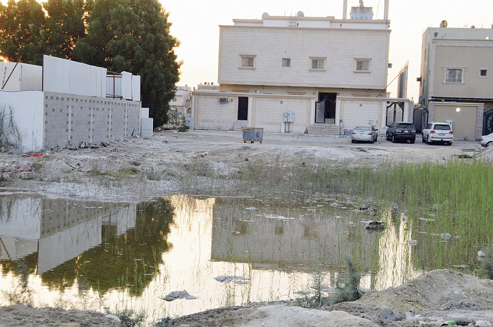 مستنقعات الصرف الصحي بجوار المنازل ( تصوير : مختار العتيبي)