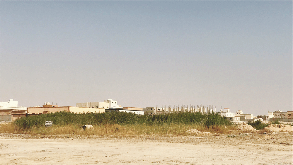 مستنقعات مجاورة لحي الفيصلية (تصوير: بدر الدوسري)