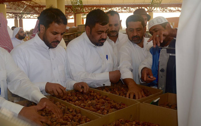 المهرجان يشهد حركة إقبال واسعة
