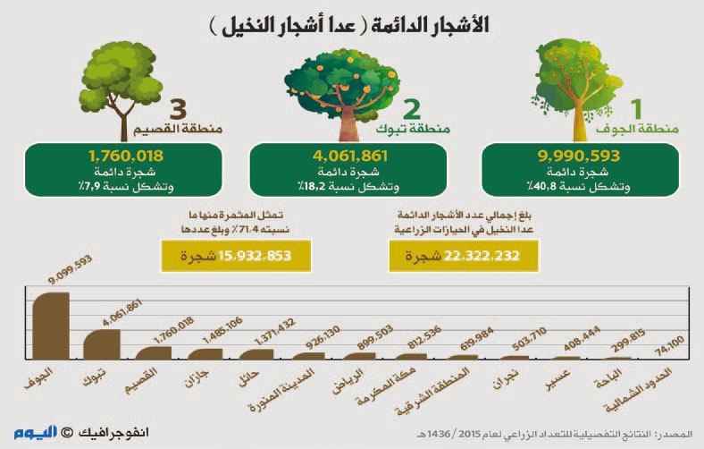 «الإحصاءات»: المملكة تحتضن 22 مليون شجرة دائمة منها 16 مليونًا مثمرة
