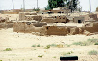 آثار تؤكد عهودا من الازدهار